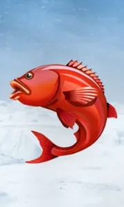 Ice Fishing